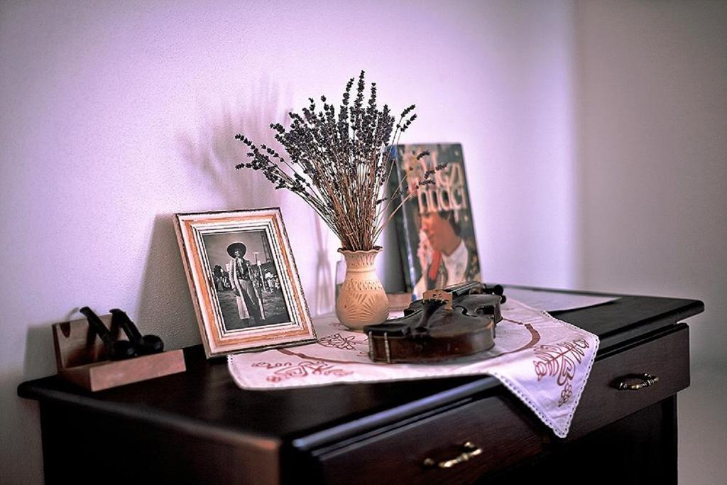 Penzion Primase Dolni Vestonice Oda fotoğraf